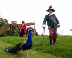 Lord of the Manor - Sir Bill or the peacock?